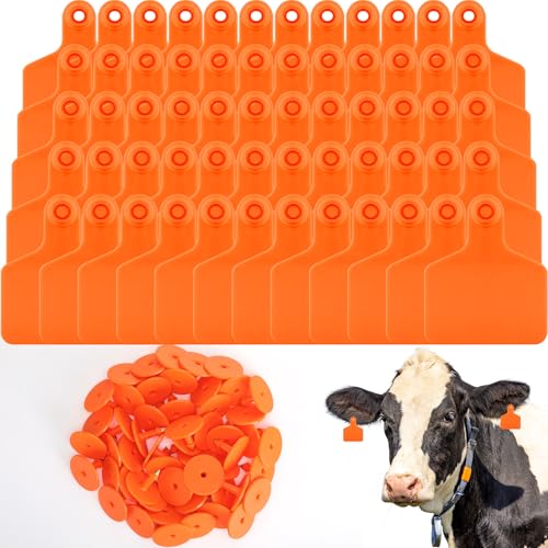 Lothee 100 Pcs Blank Cattle Ear Tags Large Plastic Precision Animal Identification Blank Livestock Ear Tags for Cattle Cow Horse Dog Pig Goat Sheep Farm Management (Orange) - color: Orange