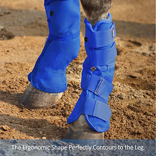 Harrison Howard Horse Leg Guard Stomp Reduction Hook and Loop Closures Rubbing Prevention - color: Deep Blue, size: Arab Medium (Pack of 4)