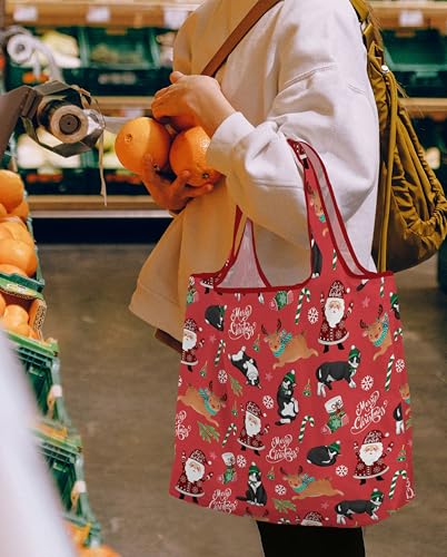 WIRESTER Reusable Grocery Tote Bag for Women, Foldable Shopping Bag, Cute Shoulder Bag, Beach Bag - color: Merry Christmas Black White Tuxedo Cat Playful