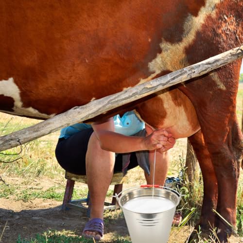 1pc Milk Bucket Multi-Purpose Bucket Multi-Functional Pail Durable Pasture Storage Stainless Steel Round Water Ice with Lid Ranch Milking