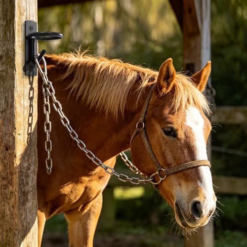 Black Metal Horse Stall Bucket Hanging Hooks | 6 Pack Wall Mount Feed & Water Bucket Holders With Mounting Screws, Farm Barn Equestrian Supplies