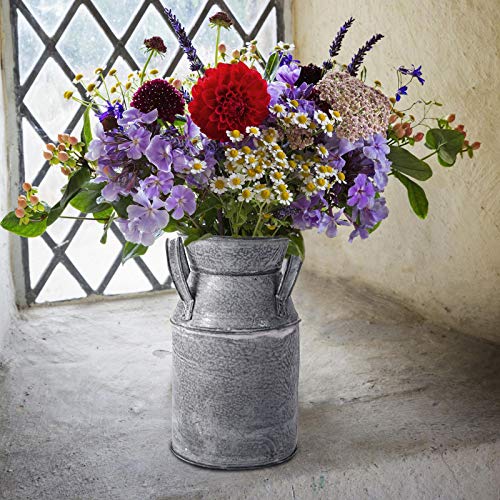 TOPZEA 2 Pack Shabby Chic Milk Can Vase, Galvanized Finish Milk Can Vase Jug Rustic Metal Flower Vases Petite Bucket for Home, Kitchen, Living Room, Farmhouse Decor, Table Centerpieces - style: Country Rustic