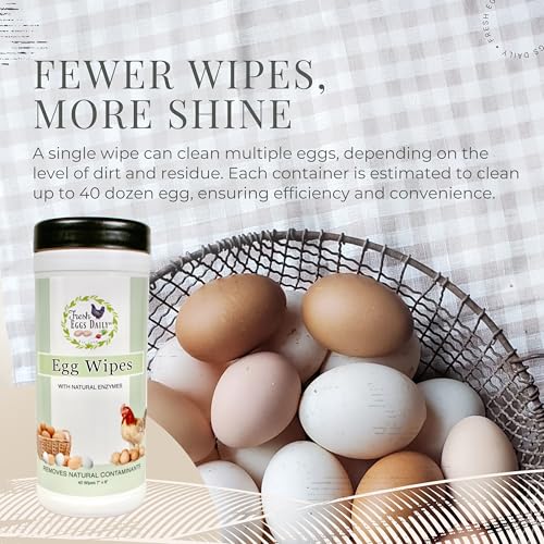 Fresh Eggs Daily Egg Wipes – Enzyme-Based Egg Cleaner for Backyard Chickens, No Rinse Needed, Natural Enzyme Formula – 40 Natural Cleaning Wipes - size: 40 Count (Pack of 1)