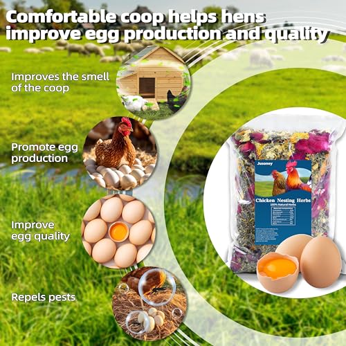 16 OZ Nesting Herbs for Chicken Coop, Premixed 8 Dried Herbs, Natural Chicken Coop Accessory, Promotes Egg Production - size: 16 OZ