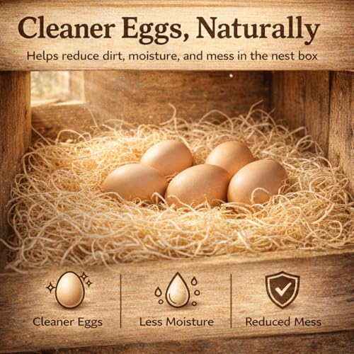 Nest Box Queen, Excelsior Nest Box Pads for Hens - 13 Inch x 13 Inch (40 Pack)