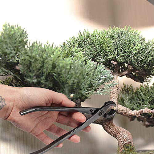 BambooMN Bonsai Tool Kit - 8" Concave Cutter & 8" Knob Cutter - 1 Set - color: Concave Cutter & Knob Cutter Set, size: 1