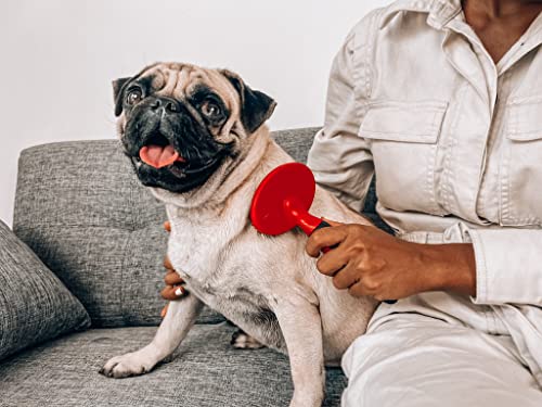 Tuff Pupper Round Bristle Soft Brush for Dogs and Cats | Gentle Grooming for Short or Long Hair | Soft Pin Tool for Sensitive Skin | Detangle & Remove Loose Fur | For Dematting & Detangling Undercoat