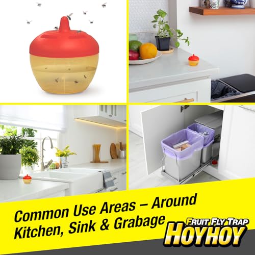 HOY HOY Fruit Fly Trap – 2 Traps (1 Pack) – Attracts & Traps Fruit Flies, Up to 120-Day Supply, Food-Based Lure, Indoor Use for Kitchen, Sink & Trash Areas