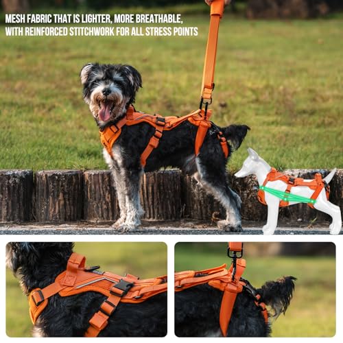 OneTigris Dog Lift Harness for Small Dogs XS, Dog Sling Carrier for Small Dogs, Full Body Lift Harness with Reflective Straps, Dog Support Harness for Back Legs - color: Orange, size: X-Small