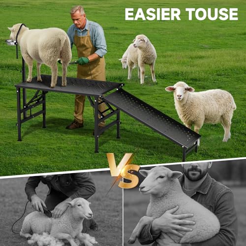 Professional Goat Milking Stand with Ramp, 600LBS Heavy Duty Foldable Livestock Trimming Platform, Metal Grooming Stand with Adjustable Headpiece & Stainless Steel Feeder for Nubian & Dwarf Goats - color: Black with Ramp