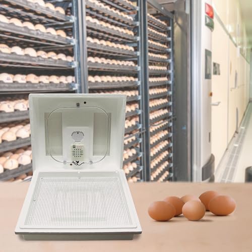 Farm Innovators 2100 Heated Still Air Incubator for 4 Dozen Eggs with Built in Hygrometer, Solid State Circuitry, and 2 Large Viewing Windows (4 Pack) - color: Still Air, size: 4 Pack
