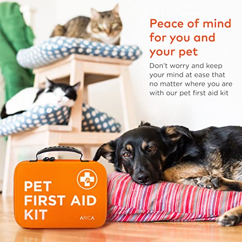 ARCA PET Cat & Dog First Aid Kit for Car - Pet Emergency Kit for Home Office Travel – Dog Camping Essentials with Digital Thermometer, Muzzle & Mini First Aid Pouch (Pack of 2) - size: CoreCare Kit (Pack of 2)