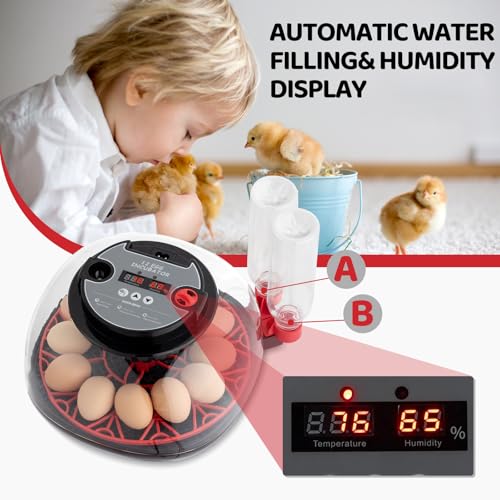 US 12-Egg Incubator with Automatic Egg Turning, Temperature & Humidity Control, Auto Water Addition & LED Egg Candler - Hatching Machine for Chicken, Duck, Goose, Pigeon, Quail & Bird Eggs