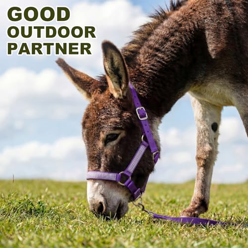 1 Set Mini Donkey Halter with Lead Rope Adjust, Purple | Nylon Head Collar, Cute and Stylish, for Miniature Donkey and Small Equines, Farm Ranch Pasture Outdoor, Gingham Plaid Trim - color: Purple