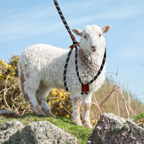 Goat Harness & Leash, Adjustable Step-in Sheep Harness, Goat Accessories, Livestock Halter Supplies for Goats and Sheep (Extra Large) - size: Extra Large