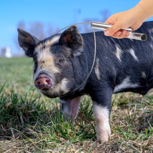 Yardwe 2 Pack Pig Catching Snares, 33.26 Inch Wire Loop Livestock Restraint Tools with Short T-Handles for Ranch and Farm Pig Handling