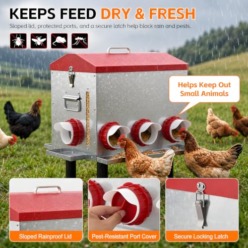 55 LB 10-Gallon Automatic Chicken Feeder, Large Metal Poultry Feeder with Window, 4-Sided No-Waste Feeding Design, Rust-Resistant Steel with Adjustable Legs for Outdoor Coops - size: 55 lb - 8 Ports