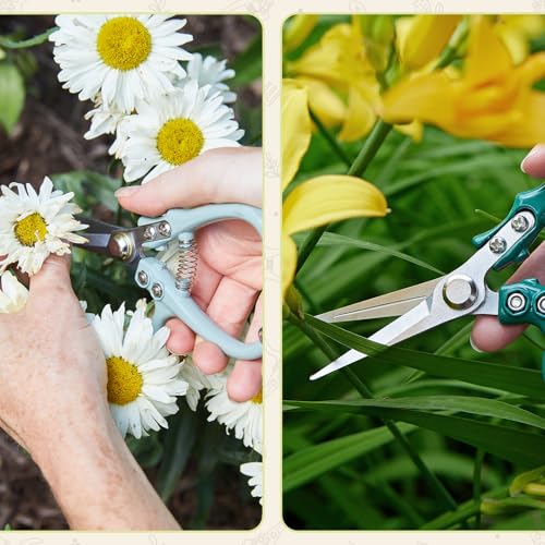 Modern Sprout Pruning Shears- Garden Snips-Herb Scissors- Chartreuse 1-Pack | Lightweight Gardening Tool - Durable Carbon Steel Blade W/Easy-Lock - Gardening Supplies - Flower Cutter - Reusable Holster - color: Chartreuse