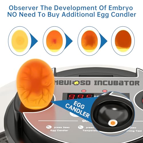 12-24 Egg Incubator incubators for Hatching Eggs | Humidity Display, Egg Candler, Automatic Egg Turner, for Hatching Chickens Duck Quail Parrot - color: Red