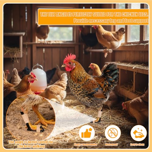 6-Pack Chicken Splint for Broken Feet & Curled Toes | Prosthetic Leg Splints for Hens, Roosters & Chicks | Bumble Foot Treatment Kit with Toe Separator & Bandage