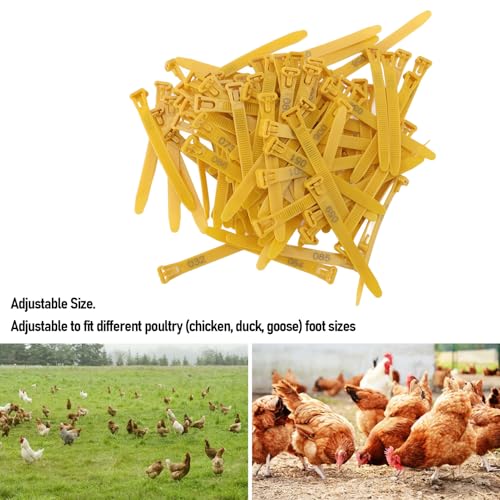 100pcs Chicken Leg Bands Rubber Chicken Identification Leg Bands Adjustable Duck Leg Bands Fadeless Numbered Poultry Chicken Identification Leg Tags for Farm Turkey Duck Chicken - color: Yellow
