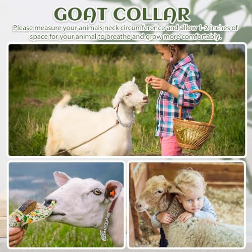 Misdary 2 Pcs Goat Show Collars, Adjustable 14"-24" Iron Chain Halter for Sheep, Horses, Dogs, Cows & Calves, Farm Animal Supplies Accessories Animal Lovers Gift (14'',Brown) - color: Brown