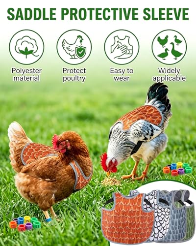 4PCS Chicken Saddle for Hens with 50pcs Chicken Leg Bands (001-050), Chicken Apron Back Protector with Adjustable Straps, Back Protector for Feather Loss & Rooster Mating (4PCS)