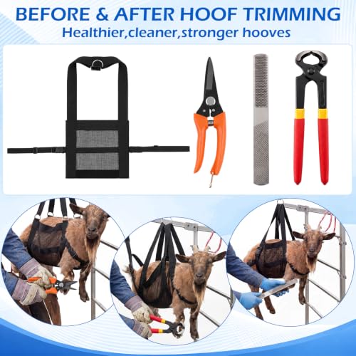 8Pcs 8" Farrier Tool Kit, Hoof Rasp Nipper Trimmer Brush Calf Sling | 8" Hoof Nipper, 300lb Capacity Adjustable Weighing Sling, Storage Bag Included, for Goat, Pig, Sheep, Donkey, Equine, Alpaca - style: Complete Hoof Care Kit