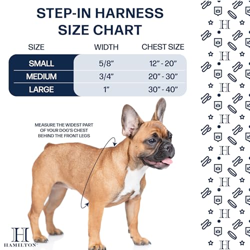 Hamilton Adjustable Nylon Dog Harness, Medium 3/4" x 20-30", Red | Premium Quality Nylon, Durable Buckle, Sturdy D-Ring, No Pull, 4 Point Adjustable, Medium & Large Breed Dogs - color: Red, size: M, 3/4" x 20-30"