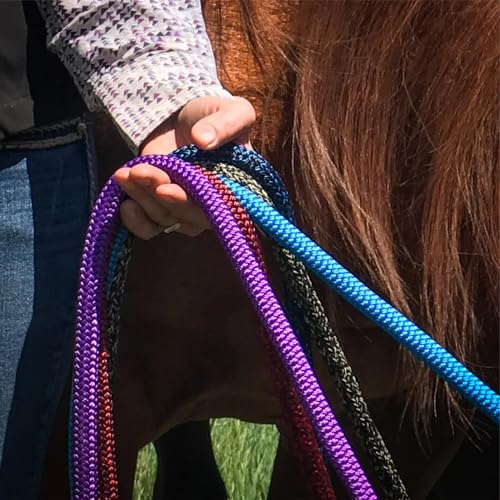 22 Foot Line Ground Training Rope - Strong Everyday Use All-Purpose Large Horse Lead Rope with Loop & Latigo Popper | 9/16" Diameter Smooth Yachting Braid, Green - color: Green