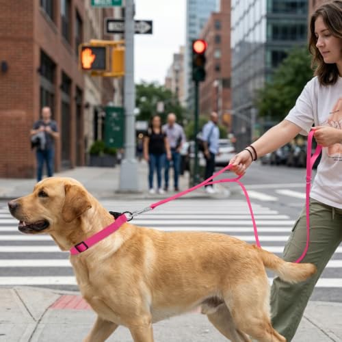 Waterproof Dog Leash with Double Handle, 6 FT Durable Odor-Proof Dog Leashes with Strong Aviation Aluminum Hooks Fits Small Medium or Large Dogs - color: Pink, size: 6FT - Double Handle