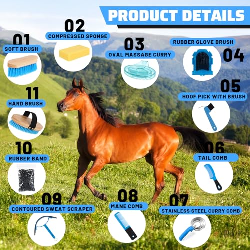 Abbylike 12 Pieces Horse Grooming Kit Racing Festival Tack Room Supplies Horse Brush Sets Equine Care Cleaning Kit Shedding Grooming Massaging Tools(Blue) - color: Blue
