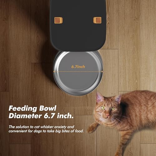 Automatic Dog Feeder - 8L/34 Cups Large Capacity Automatic Cat Food Dispenser with LCD Screen, Large Food Tray, Battery Operated, Timed Cat Feeder, Up to 50 Portions 6 Meals Per Day, Keeps Fresh - color: Matte Black