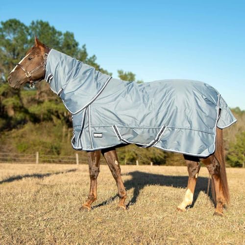 Jeffers Poplar Head Refuge 1200 Denier Turnout Blanket, Hamilton Blue, 72" – Waterproof & Breathable Horse Blanket, 240g Insulation, Adjustable Fit for Comfort & Safe Use, Durable Design - size: 72 in