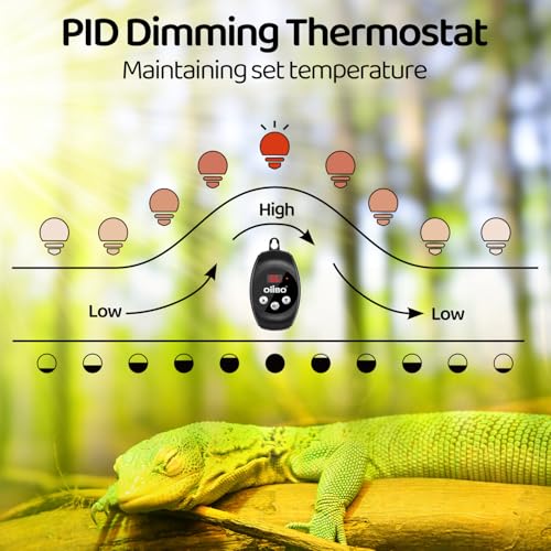 Reptile Light Fixture with Dimming Thermostat, 5.5 Inch Deep Dome Lamp Fixture, PID Temperature Controller for Reptile Heat Lamp Bulb, Max 100W