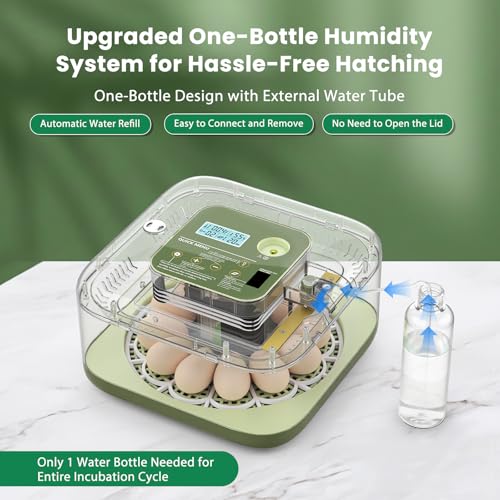 12 Egg Incubator with Humidity Display & Built-in Candler, Automatic Turner, Temp & Humidity Control, Auto Water Refill – Digital Hatcher for Chicken, Duck, Quail, Parrot (Green, 12 Egg) - color: Green, size: 12 Egg