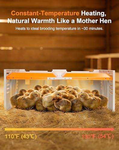 Chick Brooder Heating Plate - Briidea 80W Brooder Heater with 110–130℉ Constant Heat, 10 PET Cleaning Film, Adjustable Height & Angle, Warmth Like Mother Hen for 30 Small Poultry - color: Large Fence Style