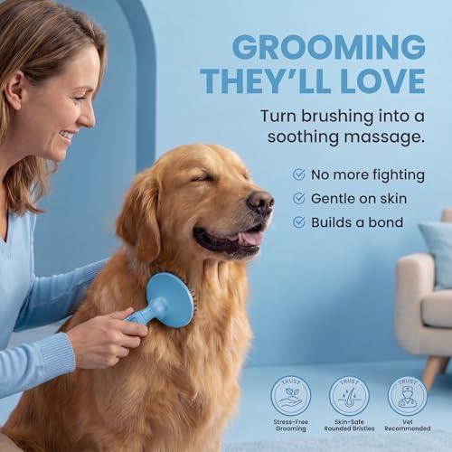 Round Bristle Pet Brush for Dogs and Cats - Soft Dog Brush for Grooming Short or Long Hair - Gentle Tool for Sensitive Skin Removes Dander, Dirt, and Detangles (Blue) - color: Blue