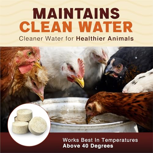 Stock Tank Clarifier - Improves Livestock Water by reducing buildup and Creating Healthier Water troughs. Safe for Horses, Cattle, Sheep, Goats & Chickens. (Tablet, 25, Count)