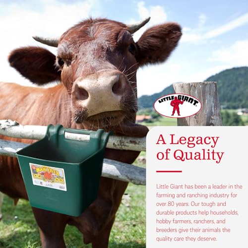 Little Giant HF15GREEN Heavy Duty 15 Quart Mountable Plastic Hook Over Feeder, Green (2 Pack)