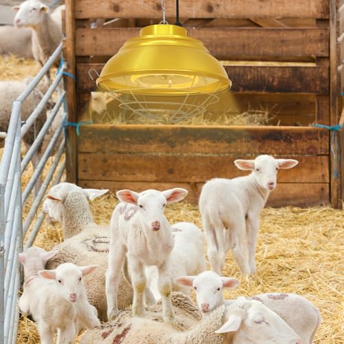 Chicken Coop Heater, 600W, Carbon Fiber Bulb, Adjustable 2-Mode | Heat Lamp for Chickens Brooder, Adjustable Hanging Height, For Chick, Puppy, Cat, Goat, Piglet