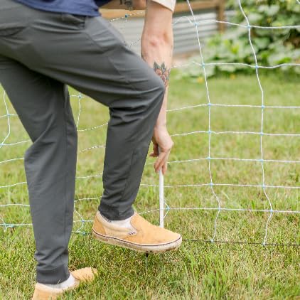42" x 164' Standard Electric Poultry Netting Solar Kit | All-in-One Electric Fence Kit for Backyards, Homesteads, Farms, and Ranches - style: All-In-One Solar Kit