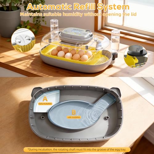 IBKINXX Incubator for Hatching Eggs-24 Egg Capacity, Automatic Egg Turner, Temperature & Humidity Control, 360° Viewing for Chicken, Duck and Quail Eggs (Yellow)