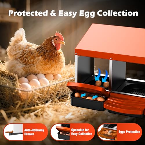 Chicken Nesting Boxes, Roll Away Laying Nest Box for Hens, 3 Compartments | Rollout design with removable drawer for easy egg collection and cleaning, built with durable galvanized steel, Orange - color: Orange-Red