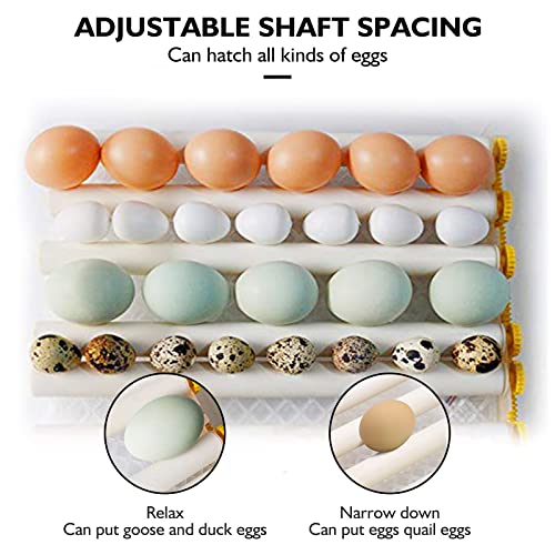 Egg Incubator,Egg Incubator with Automatic Egg Turning and Humidity Control,Poultry Hatcher for Chickens Ducks Birds (128 Eggs) - size: 128 Eggs