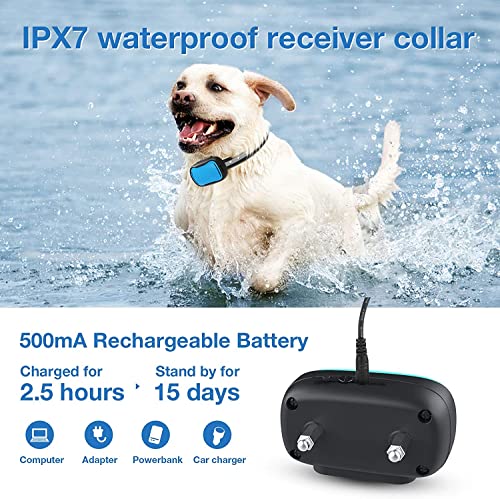 Electric Fence for 2 Dogs, Underground Dog Fence System | 2 Rechargeable Collars, Waterproof, for Small Medium and Large Dogs