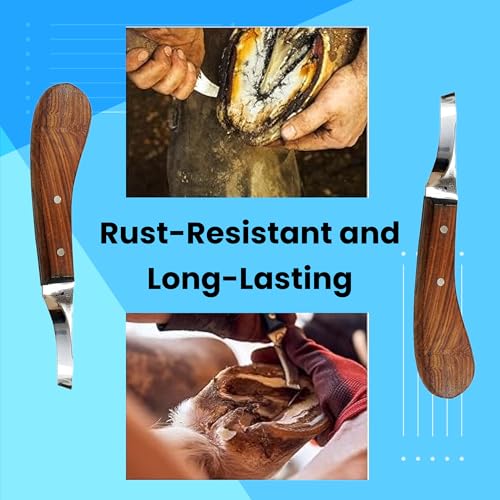 Hoof Knife Single Sided Edge Curved Blade – Stainless Steel Curved Blade Farrier Tool with Wooden Handle, Multipurpose Hoof Trimming Knife for Livestock, 3-Inch Blade, 8.5-Inch Overall - style: Curved Blade - RH