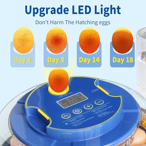 18 Egg Incubator, Automatic Egg Turner with Temperature and Humidity Control,LED Candler,360° Viewing, External Water Bottle Refill, Air Vent, Hatching for Chicken, Duck and Quail