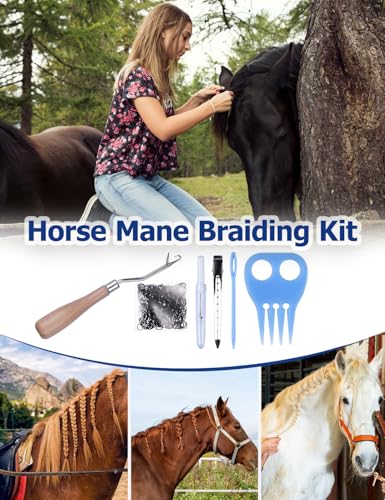 Horse Grooming Kit, 13-Piece Horse Brush Set with Organizer Bag Complete Care, Mane Braiding Kit, Brushes & Curry Comb for Effective Grooming, Ideal Supplies Set for Horses Riders Beginners