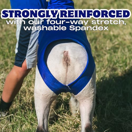 Show Pro Red Spandex Lamb Tube for Show Sheep & Lamb - Show Livestock Supplies: Sheep Covers & Blankets (Large) (Pack of 2) - size: Large (Pack of 2)